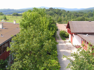 Blick Stüberl-Sprungplatz