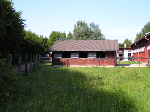 Boxen mit Fenster