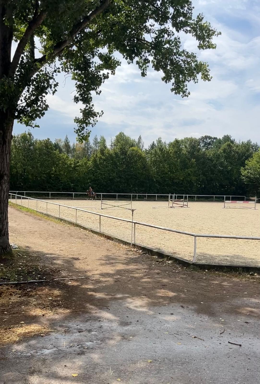 Sprungplatz Sprungplatz