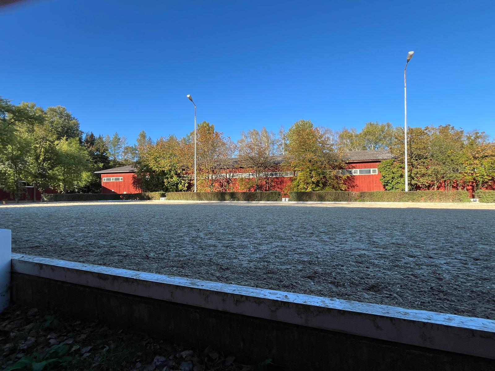 Dressurviereck 20x40