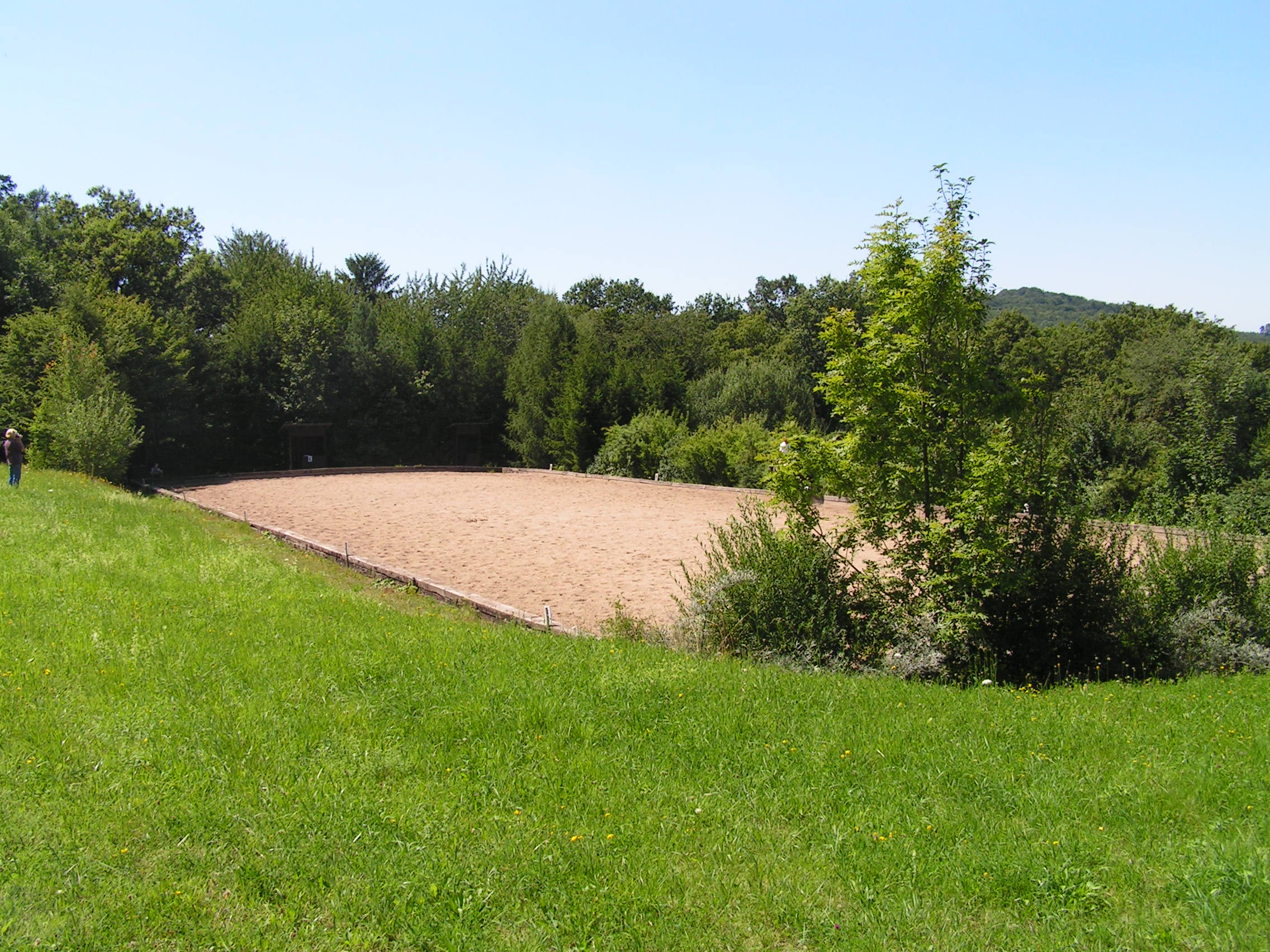 Dressurviereck 20x60